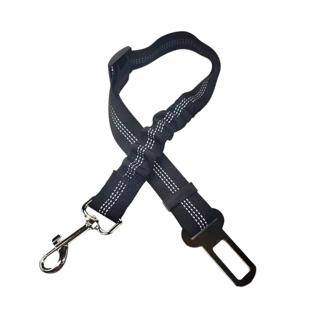 Cinturon de seguridad coche