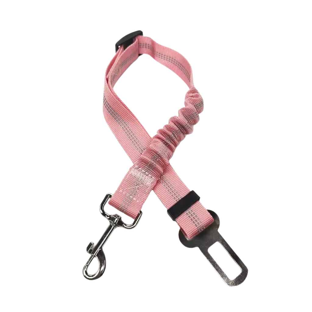 Cinturon de seguridad coche