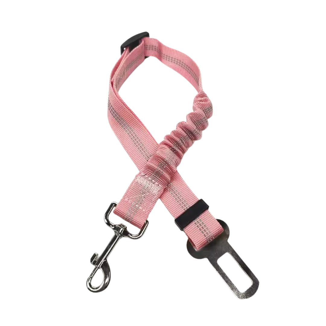 Cinturon de seguridad coche