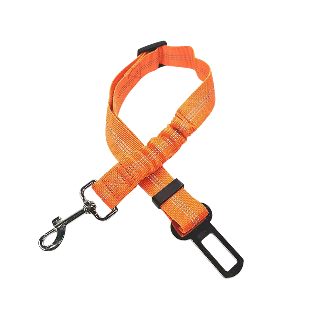 Cinturon de seguridad coche