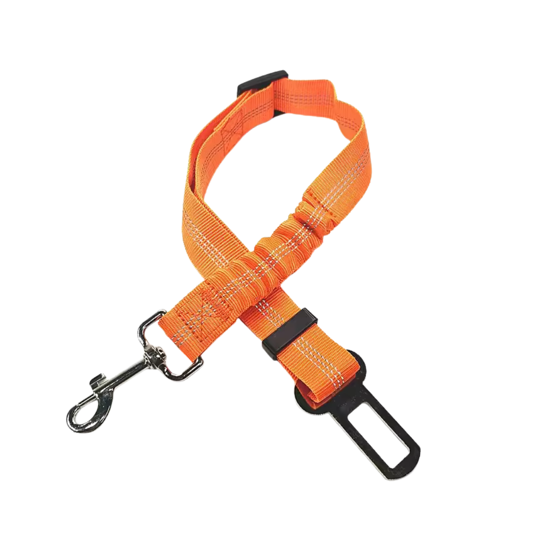 Cinturon de seguridad coche