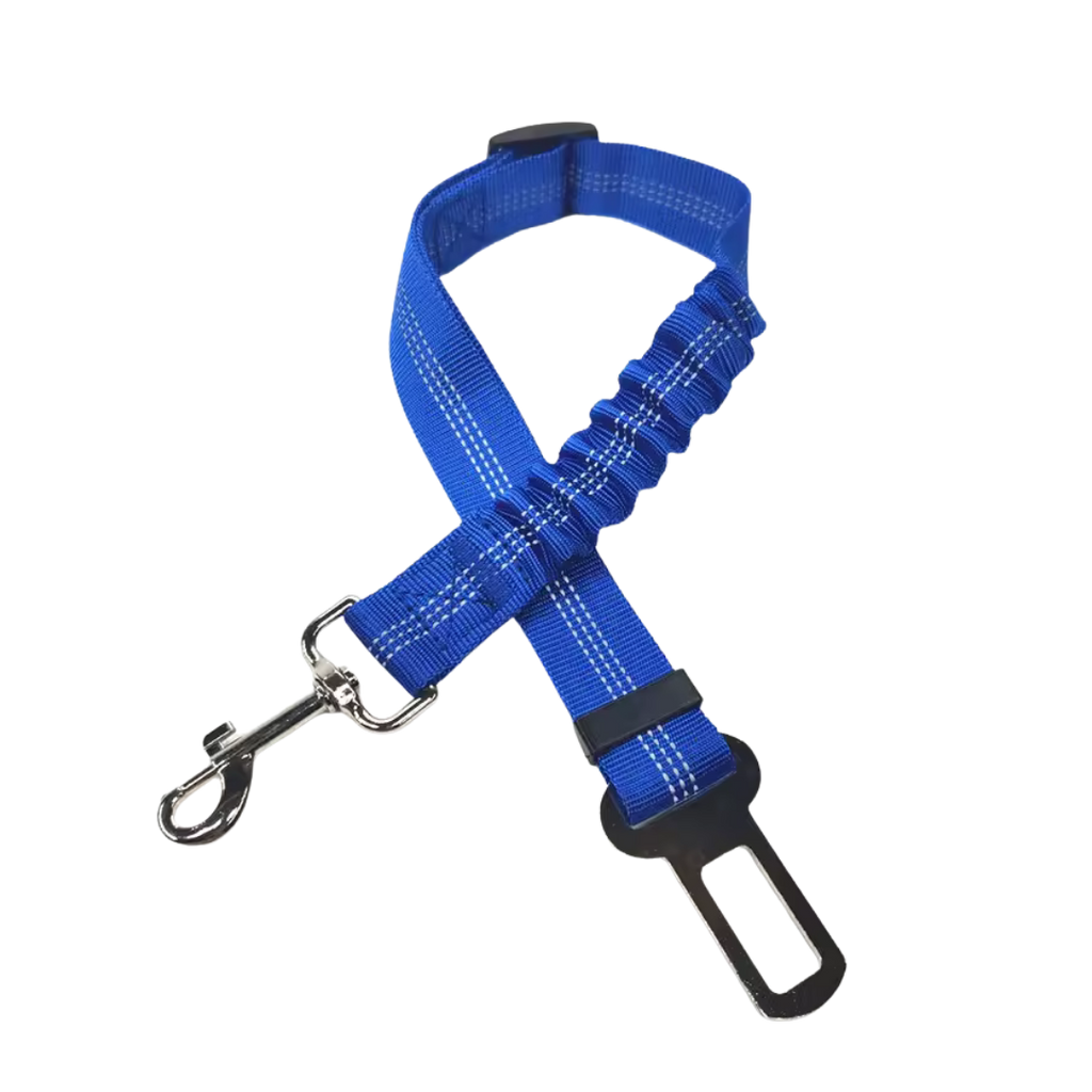 Cinturon de seguridad coche