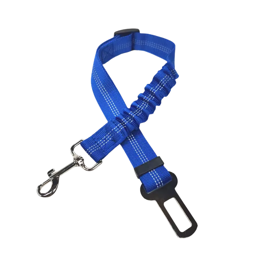 Cinturon de seguridad coche