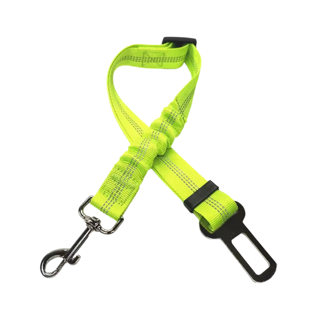 Cinturon de seguridad coche