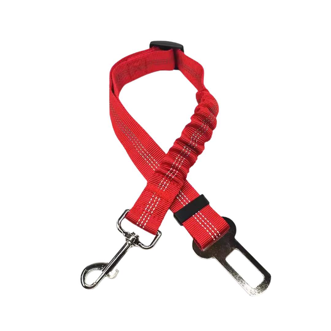 Cinturon de seguridad coche