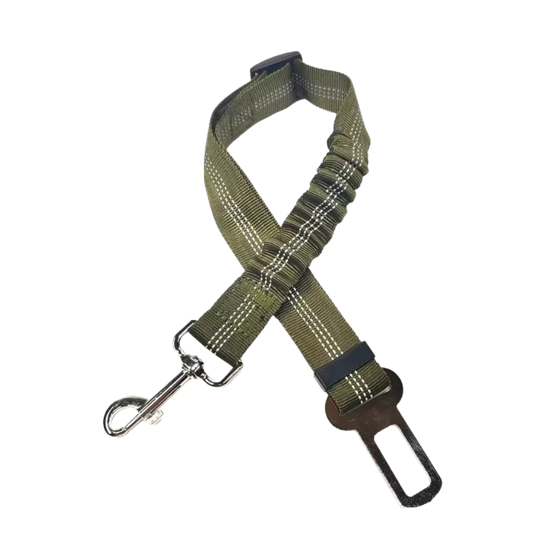 Cinturon de seguridad coche