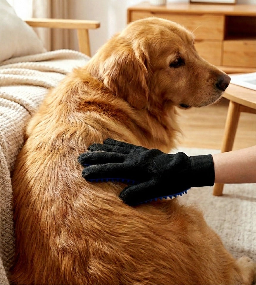 Guante atrapa pelos y masajedor para mascotas